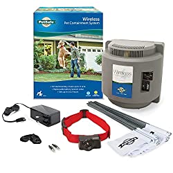PetSafe wireless invisible dog fence