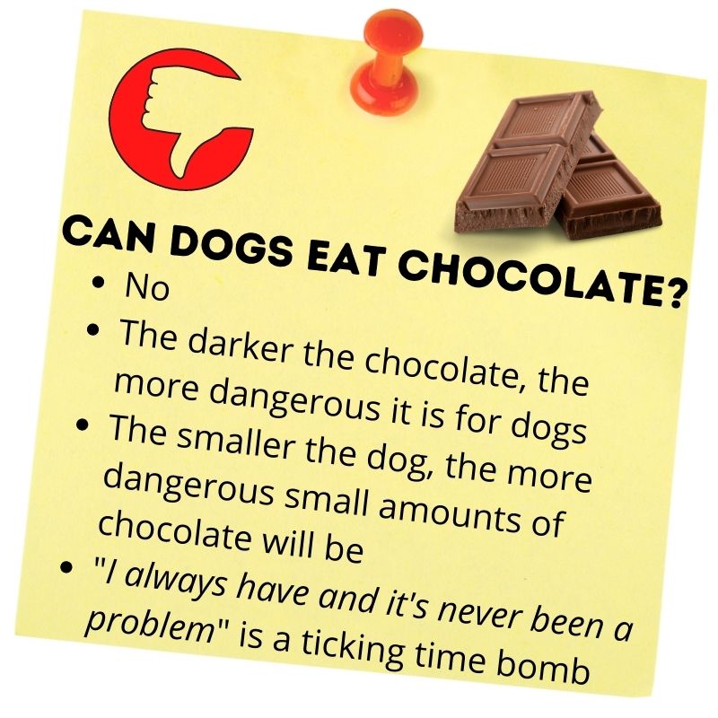 which is worse for dogs dark or milk chocolate