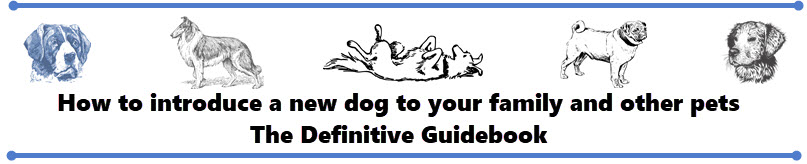 how to introduce a new dog into your home - the definitive guidebook