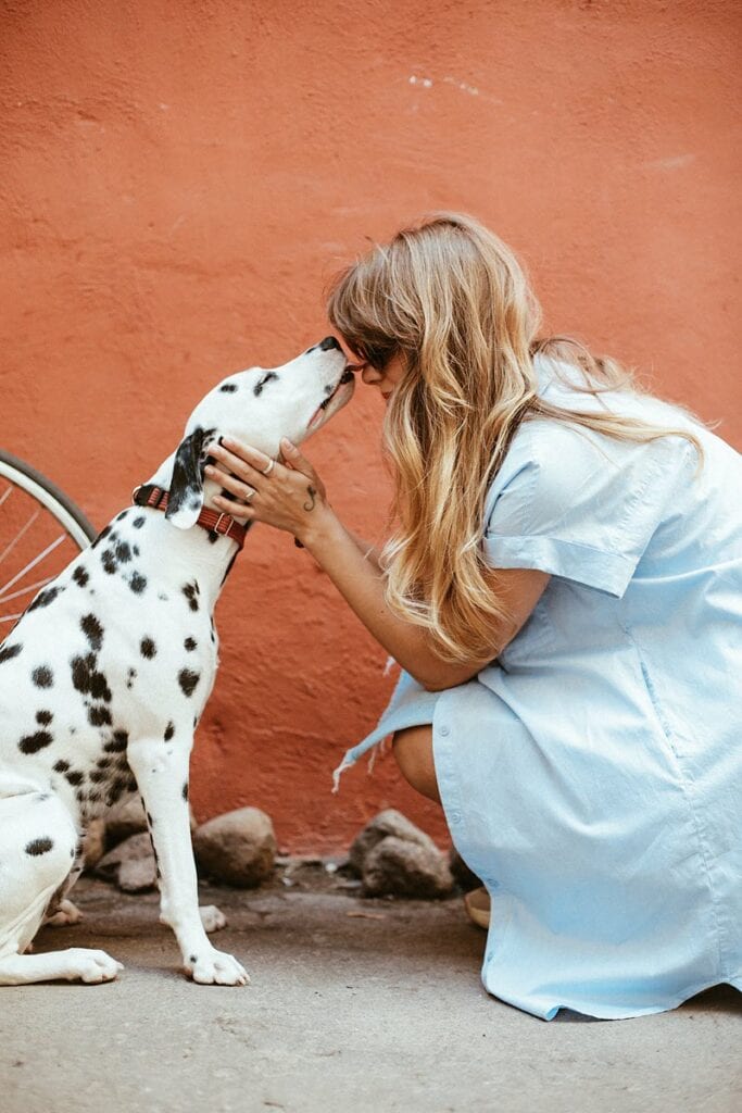 Calm dog and owner