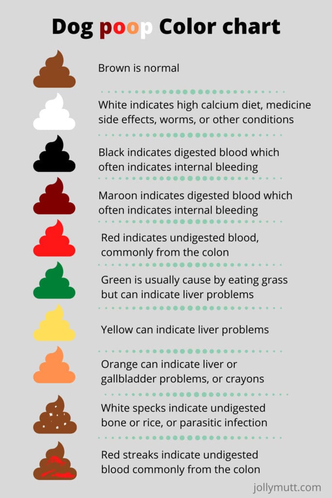 Dog poop color chart