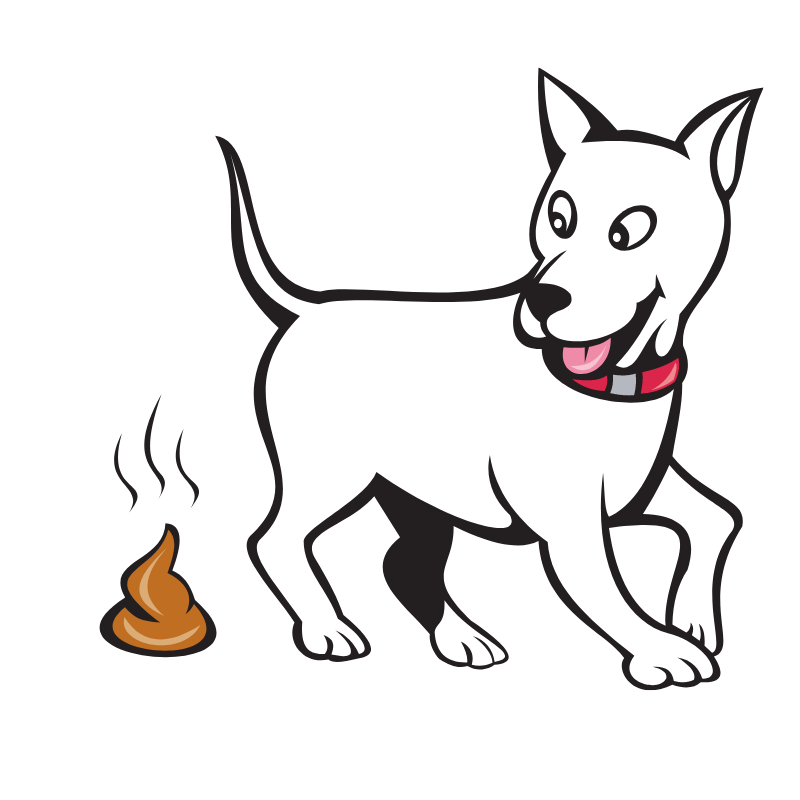 is smelling dog poop bad