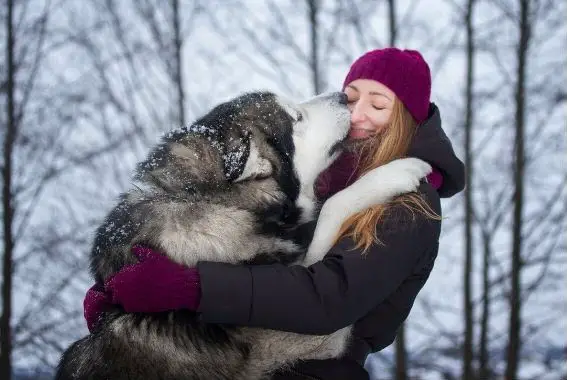 Big dog hug