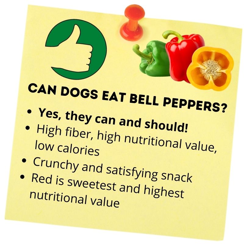 Can dogs eat bell peppers_