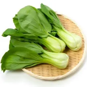 Can dogs eat bok choy