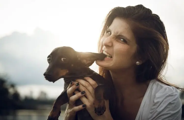 Lady biting dog's ear