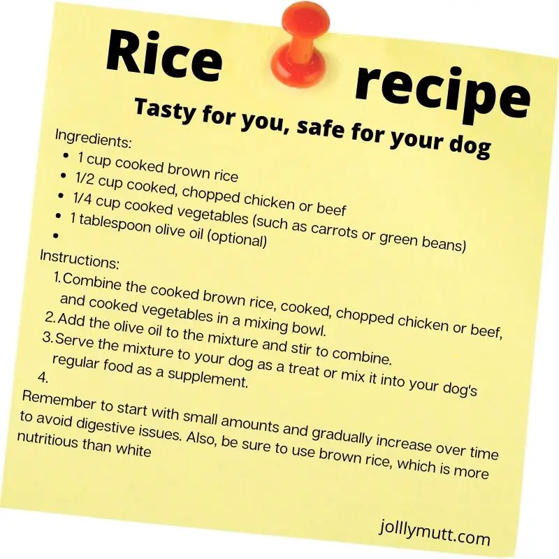 Rice recipe for dogs