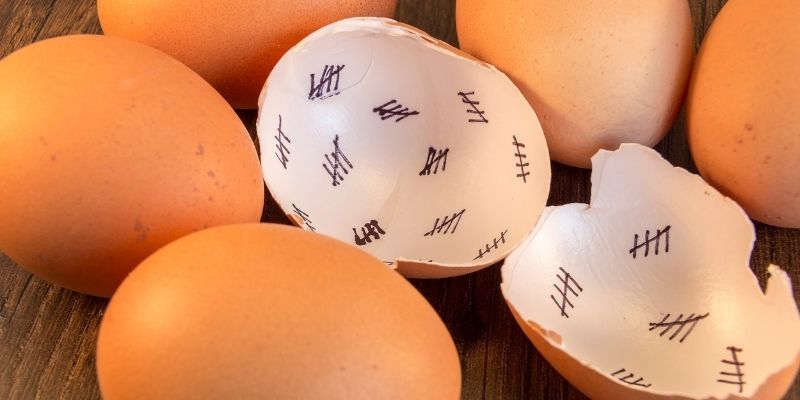 Are egg shells safe for dogs to eat