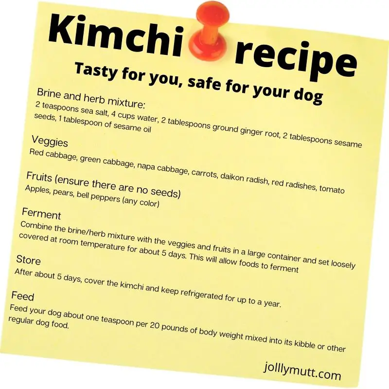 Kimchi recipe for dogs