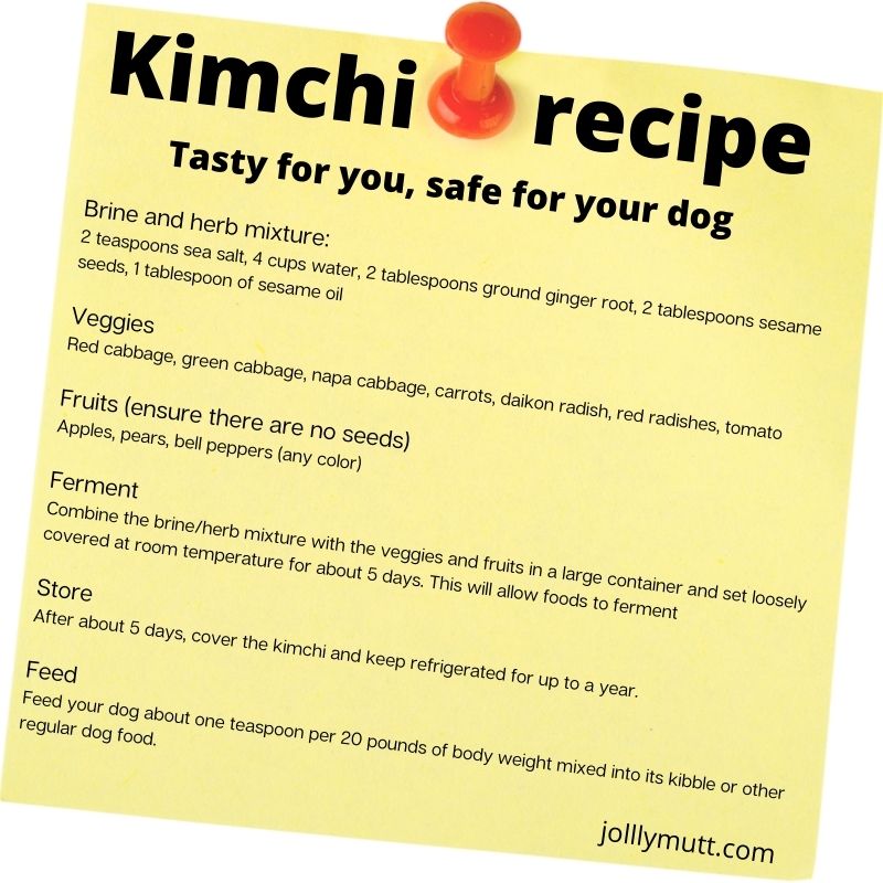 Kimchi recipe for dogs