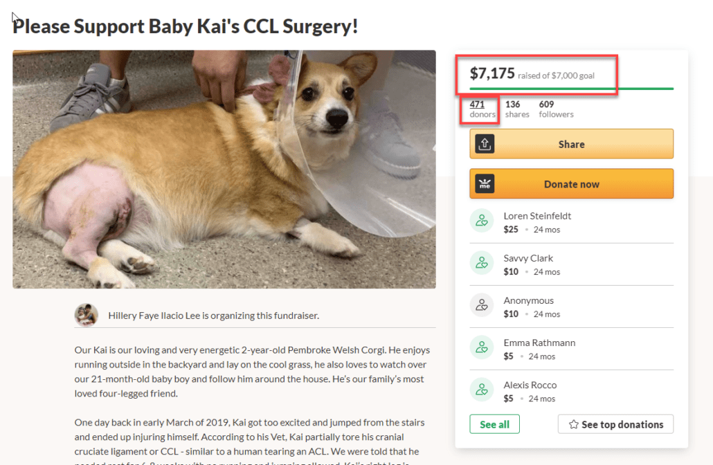 GoFundMe for TPLO surgery