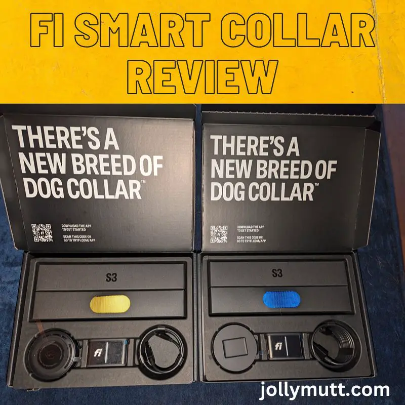 FI Smart collar for dogs_FI
