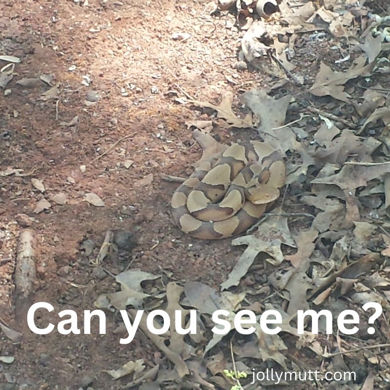 Copperhead camoflauge