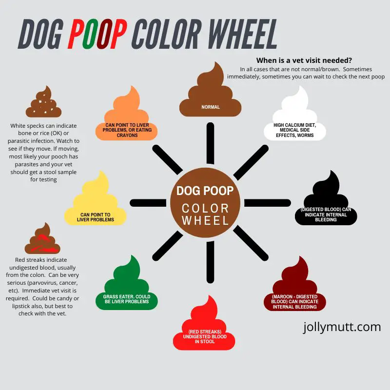 Dog poop color wheel