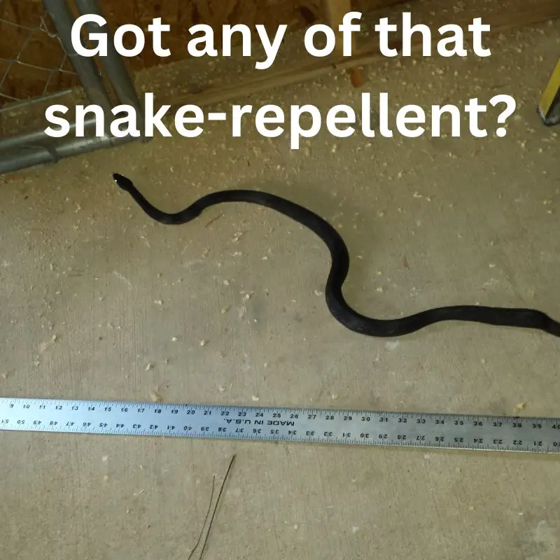 Dog-safe snake repellent