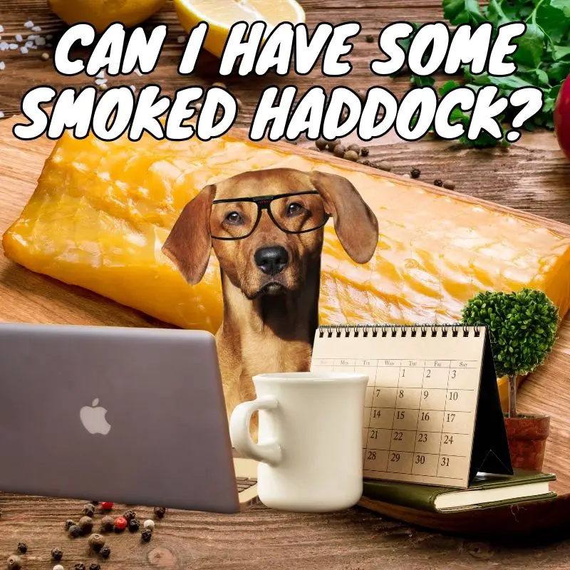 Can dogs eat smoked haddock_header
