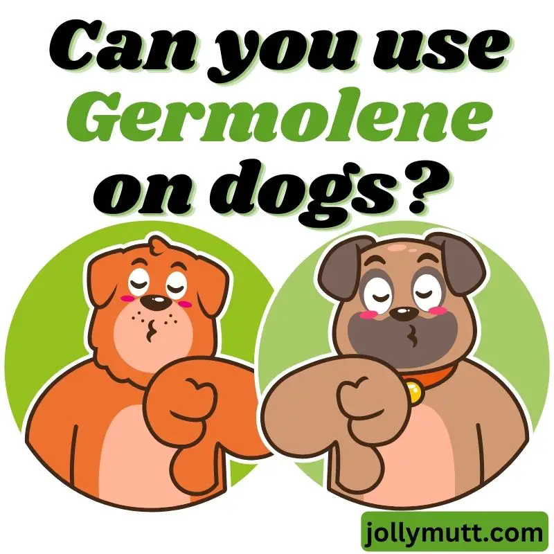 Can you use Germolene on dogs