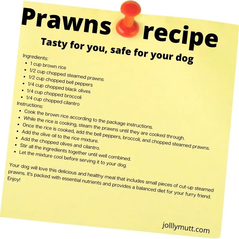 Prawns recipe for dogs