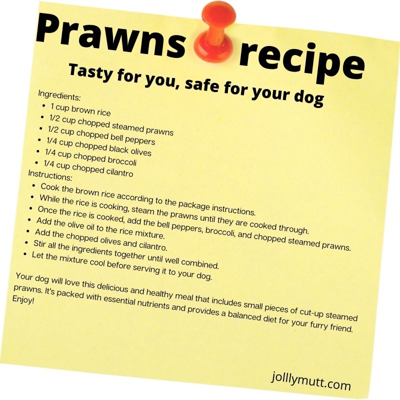 Prawns recipe for dogs