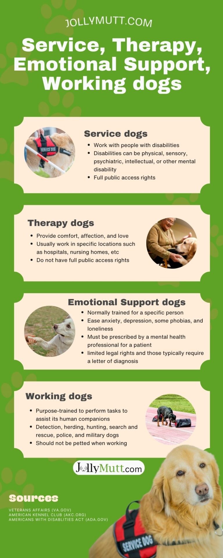 service-dog-facts-your-essential-guide-2023-jollymutt