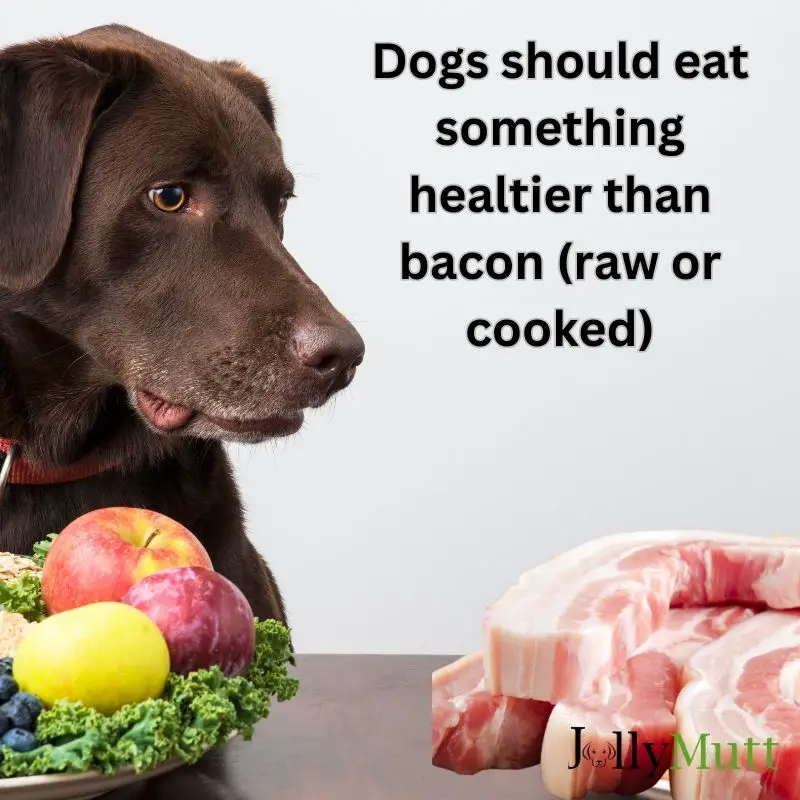 Alternatives for dogs eating bacon