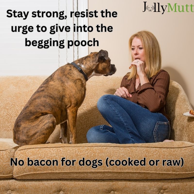 Can dogs eat raw bacon?