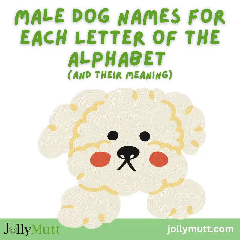 Male dog names for each letter of the alphabet