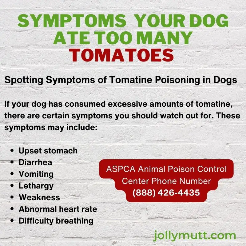 Tomatine poisoning symptoms