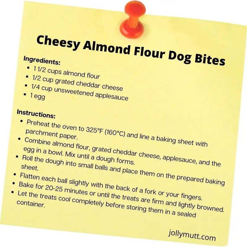 Almond flour dog treat recipe - Cheesy Almond Flour Dog Bites