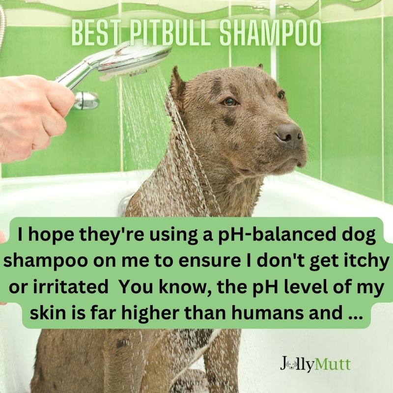 Pitbull shop dog shampoo