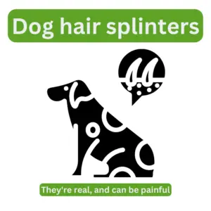 Dog hair splinter - featured image