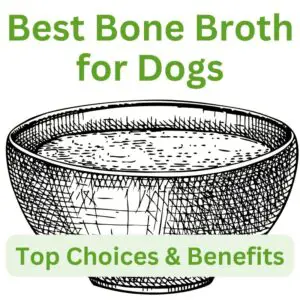 Best bone broth for dogs