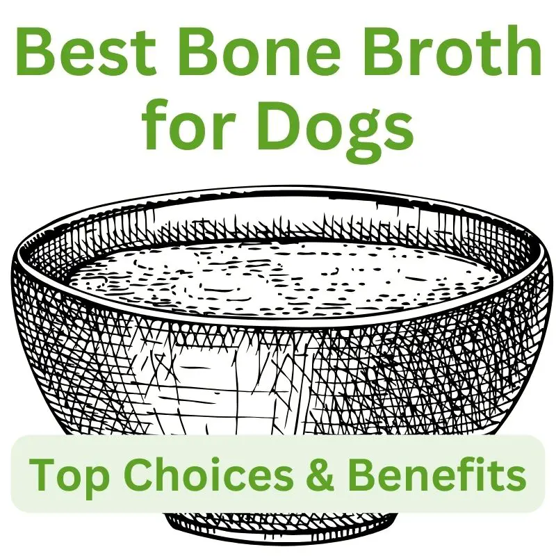 Best bone broth for dogs