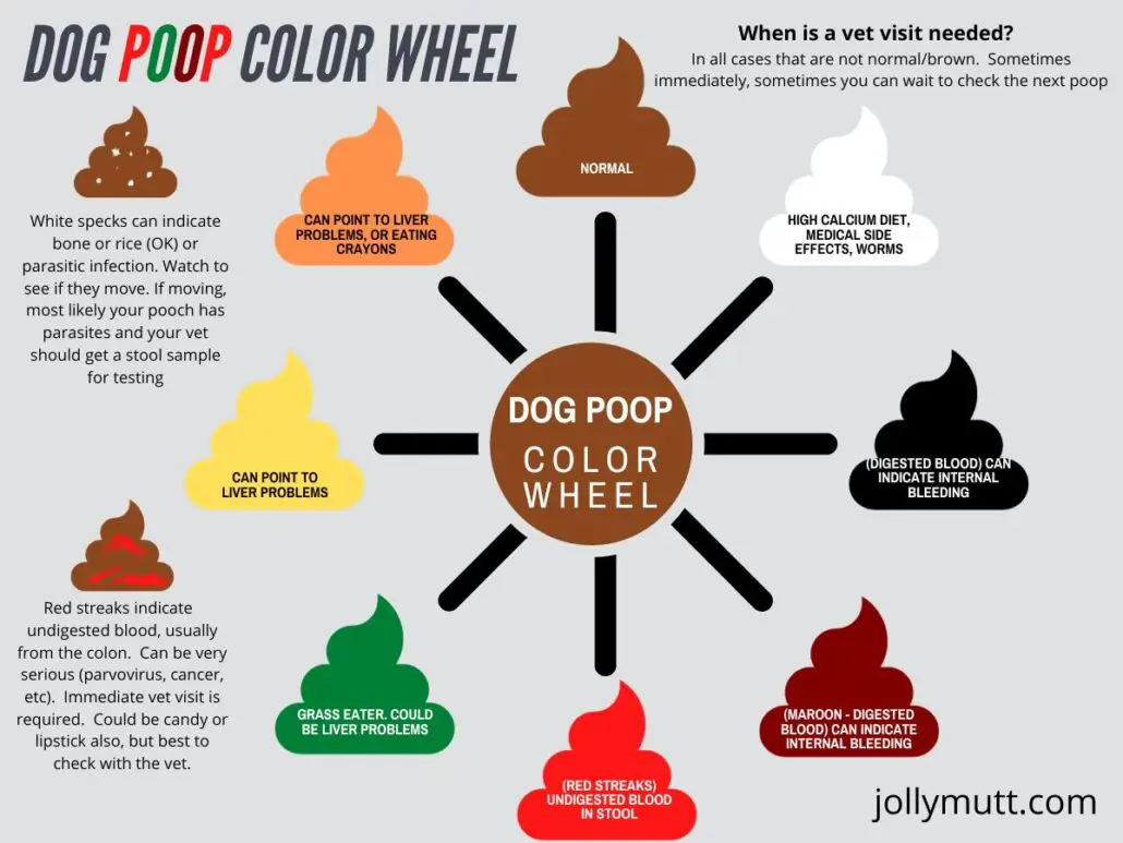 Dog poop color wheel