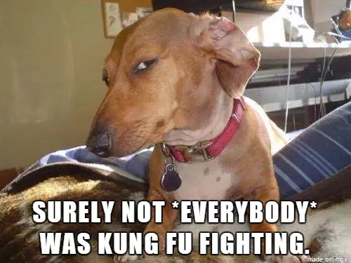Kung fu fighting - dog meme