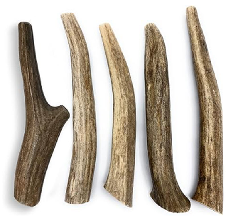 Toughest dog chew toys - Elk antlers