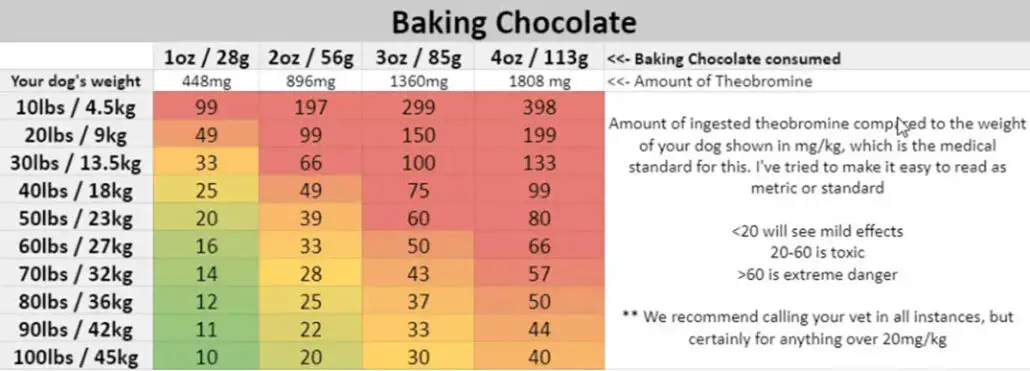 Chocolate toxicity for dogs - baking chocolate 2