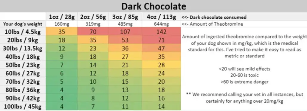 Chocolate toxicity for dogs - dark chocolate 2